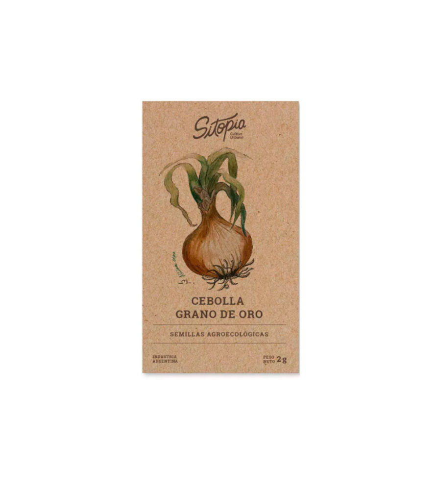 Semillas Cebolla Grano De Oro 2 gr